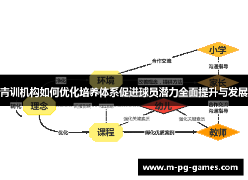 青训机构如何优化培养体系促进球员潜力全面提升与发展