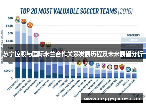 苏宁控股与国际米兰合作关系发展历程及未来展望分析