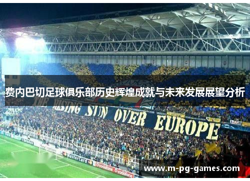 费内巴切足球俱乐部历史辉煌成就与未来发展展望分析